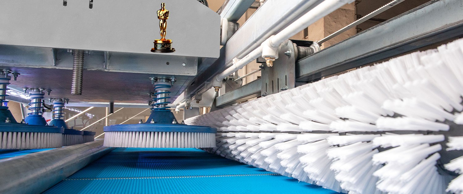 Profesyonel Halı Yıkama Hizmeti